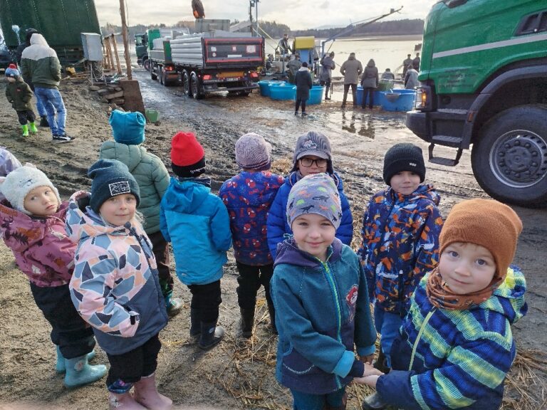 IMG_20251118_094031