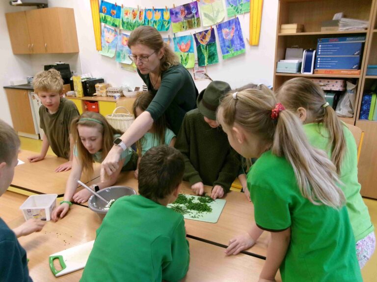 KODAK Digital Still Camera