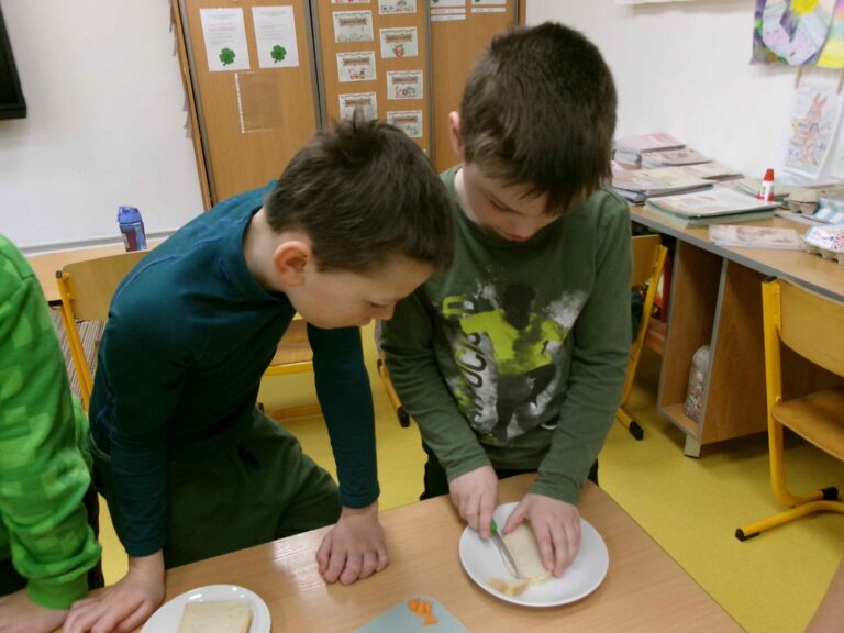 KODAK Digital Still Camera