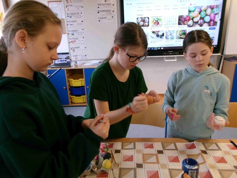 KODAK Digital Still Camera