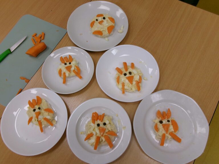 KODAK Digital Still Camera