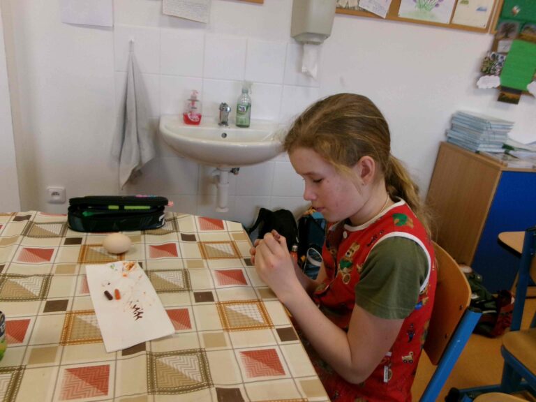 KODAK Digital Still Camera