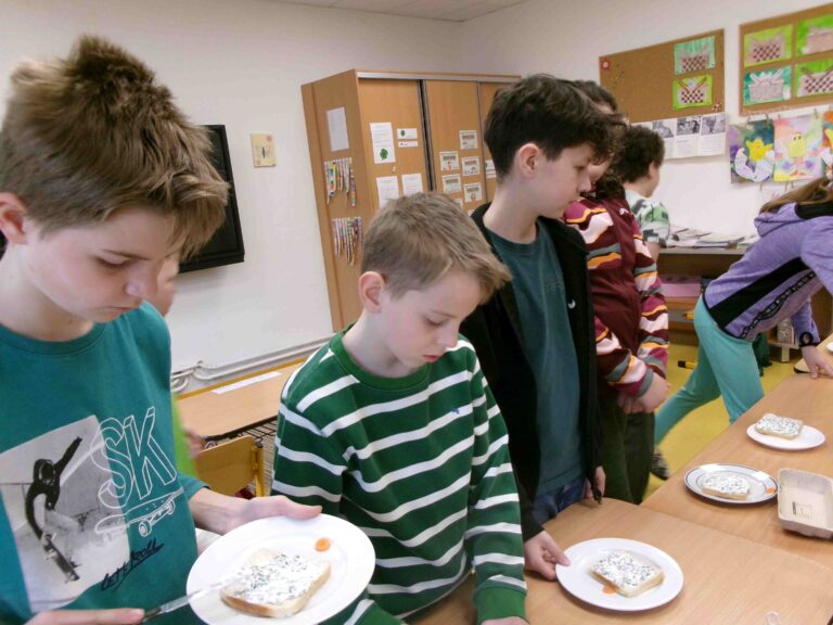 KODAK Digital Still Camera