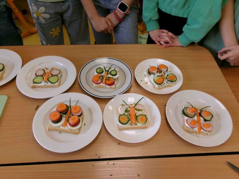 KODAK Digital Still Camera