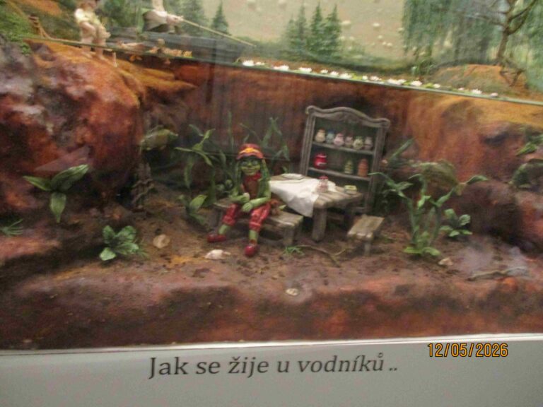 IMG_7751
