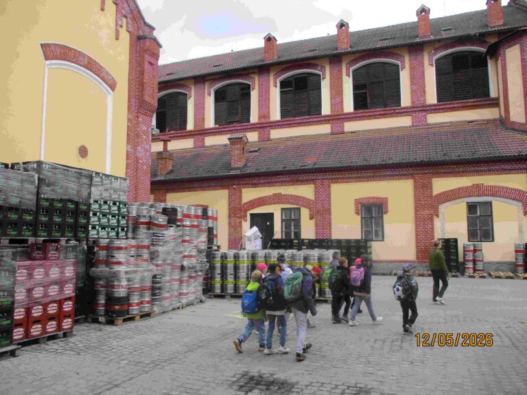 IMG_7771