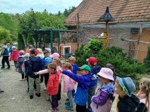 V ZOO