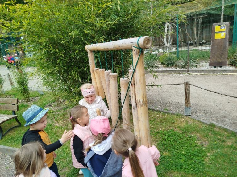 IMG_20260519_101805